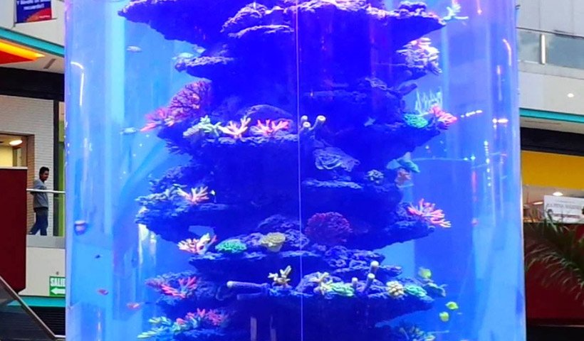 Mega acuario del Mega Plaza de Independencia