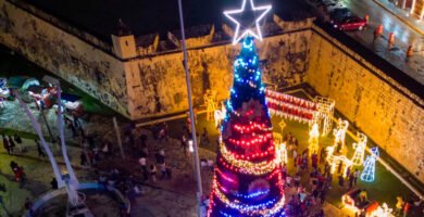 La magia del encendido del Árbol de Navidad: Tradiciones y significado